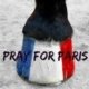 As a company with a strong connection to France, our thoughts and prayers are wi