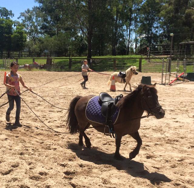 Day camps are on at Tic Toc Equestrian: ...Creates childhood memories... - Day camps are on at Tic Toc Equestrian ...Creates image