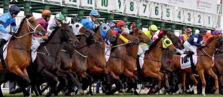 Happy Melbourne cup day everyone