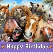 Happy birthday   to all our Fantastic horses  (That pic really looks like them,