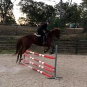 How to focus on your next jump by Tamara Dover.  Tamara and TT Wildfire have ach