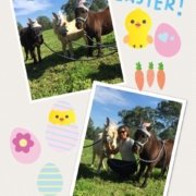 I found some bunnies today in the paddock!
 Wishing you all a happy Easter.
