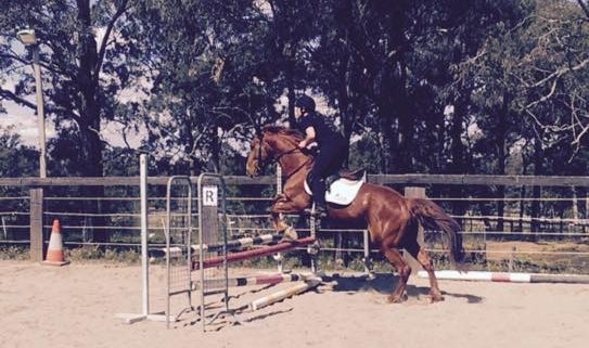 Love jumping PLUTO, thanks Sandra Tremier for being an amazing coach