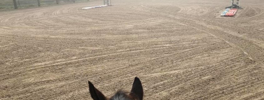 Riding on a freshly graded arena... amazing! Darling loved it too