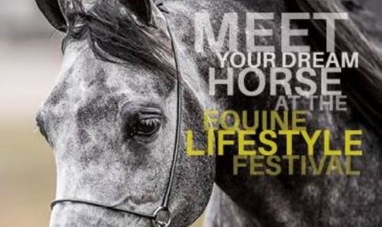 The Equine Lifestyle Festival is on this week end!  Don't miss out! The Tic Toc