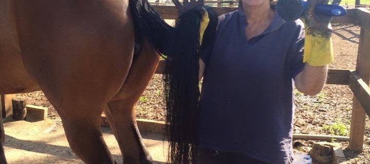 We might win the prettiest black tail at the Polo Showjumping this week end, isn