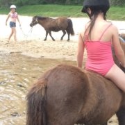 What a fun morning we had:
 Swimming with the ponies