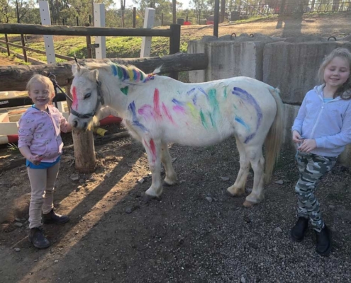 Children having fun painting a pony