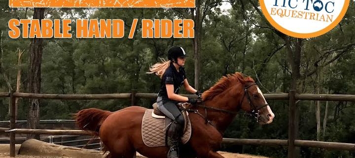 Wanted: Full time Stable hand/rider
 Tic Toc Equestrian is located in Freemans R