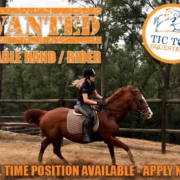 Wanted: Full time Stable hand/rider
 Tic Toc Equestrian is located in Freemans R