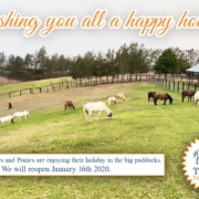 Happy Holidays!
 The Horses and Ponies are enjoying their holiday in the big pad