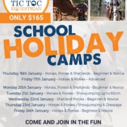 Now taking bookings for 2020 Summer School Holiday Camps.
 Please contact me by