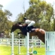 The Tic Toc Showjumping Team is on fire  What a great day we had at the SSJC Sum